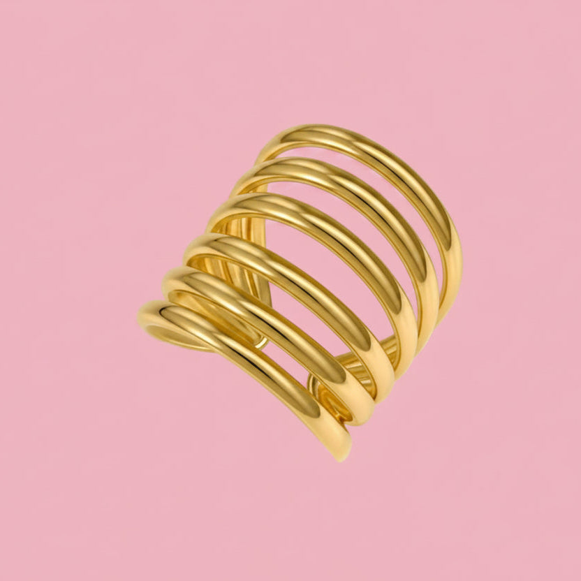 Anillo Band