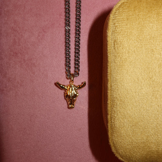 Collar Torito Bicolor