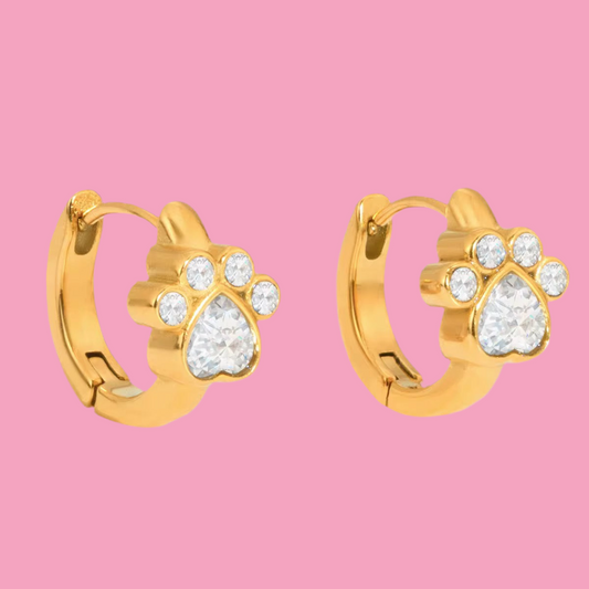 Hoops Huellitas