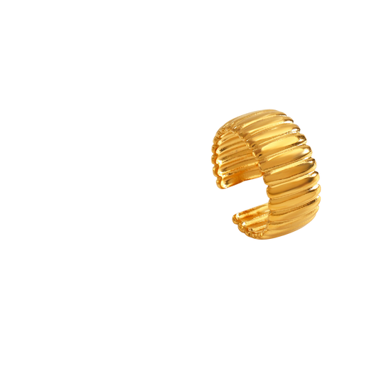Anillo Barras