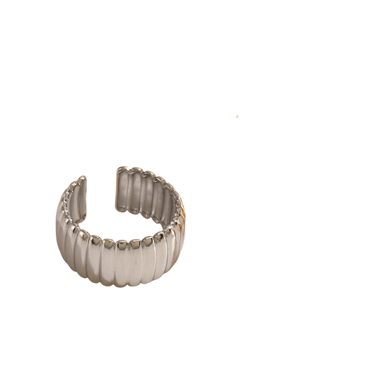 Anillo Barras